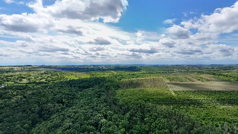 Previzualizare: Mănăstirea Rudi — Panorama 2