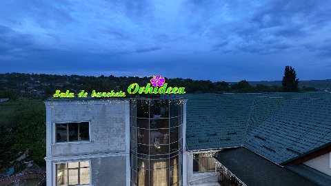 Previzualizare: Sala de banchete Orhideia